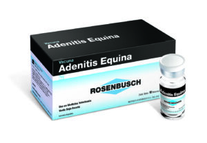 Adenitis Equina