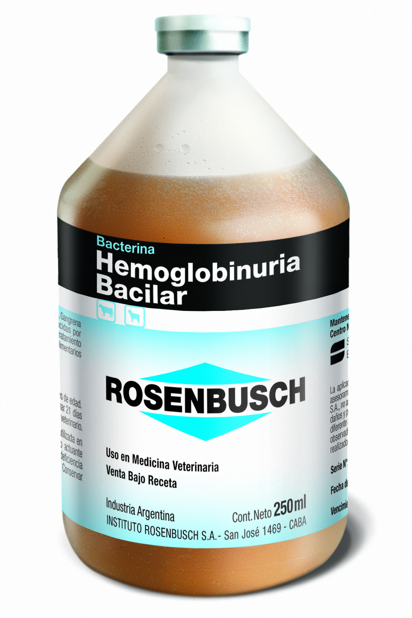 Hemoglobinuria Bacilar